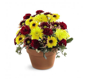 Le Bouquet Gloire d'Automne